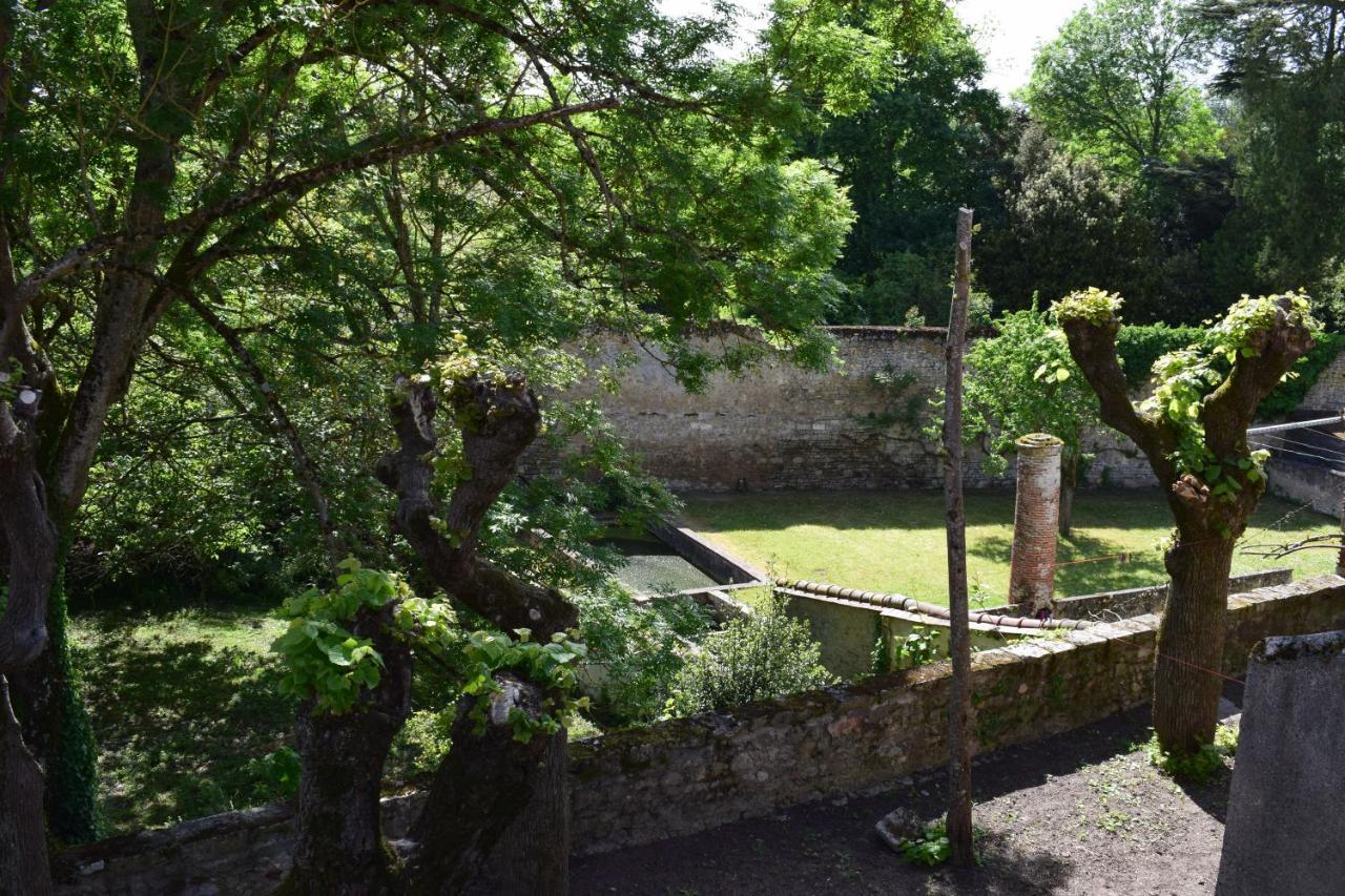 L'Aventure Bed & Breakfast Châteauneuf-sur-Loire Dış mekan fotoğraf